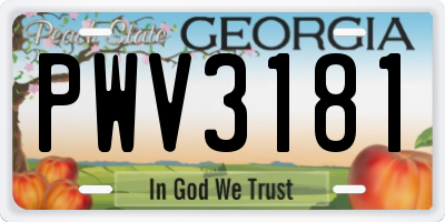 GA license plate PWV3181