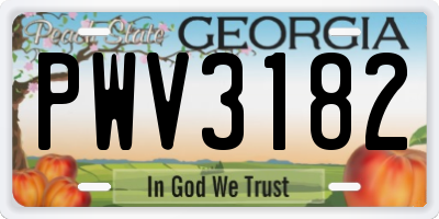 GA license plate PWV3182