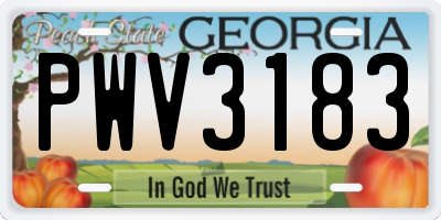 GA license plate PWV3183