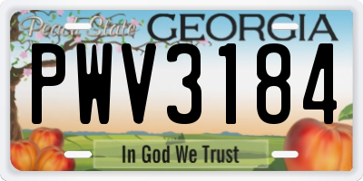 GA license plate PWV3184
