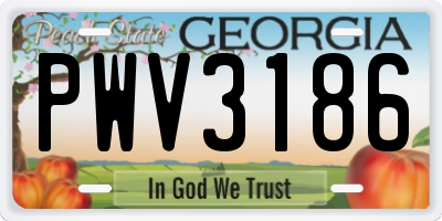 GA license plate PWV3186