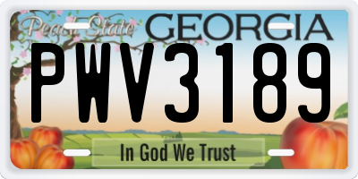 GA license plate PWV3189