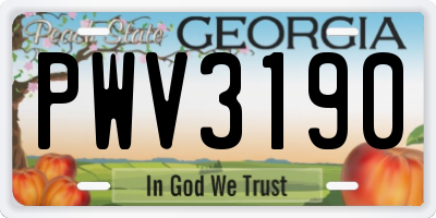 GA license plate PWV3190