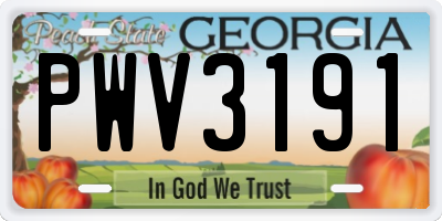 GA license plate PWV3191