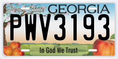 GA license plate PWV3193