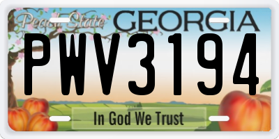 GA license plate PWV3194