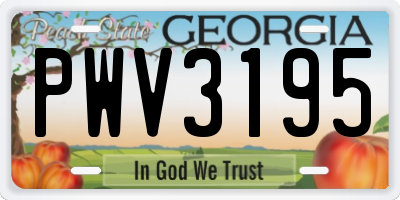GA license plate PWV3195