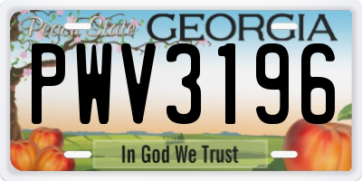 GA license plate PWV3196