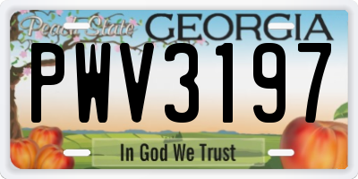 GA license plate PWV3197