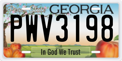GA license plate PWV3198