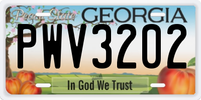 GA license plate PWV3202
