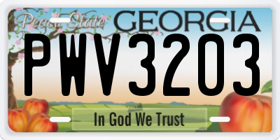 GA license plate PWV3203