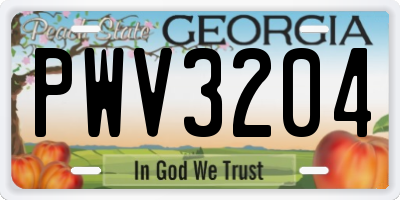 GA license plate PWV3204