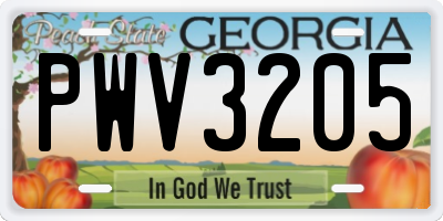 GA license plate PWV3205