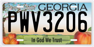 GA license plate PWV3206