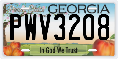 GA license plate PWV3208