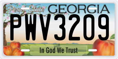 GA license plate PWV3209