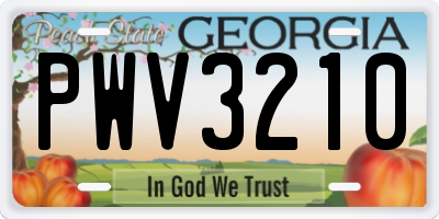 GA license plate PWV3210