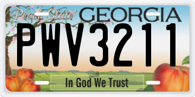 GA license plate PWV3211