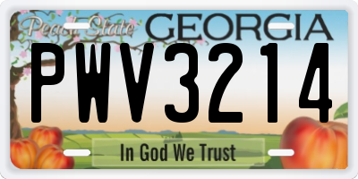 GA license plate PWV3214