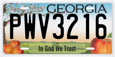 GA license plate PWV3216
