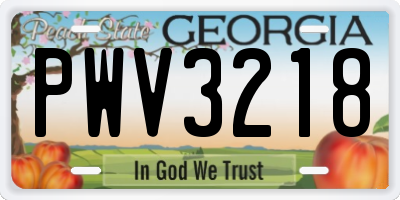 GA license plate PWV3218