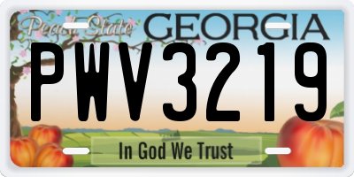 GA license plate PWV3219
