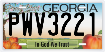 GA license plate PWV3221
