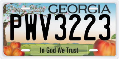 GA license plate PWV3223