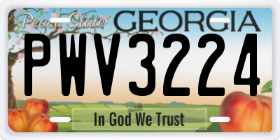 GA license plate PWV3224