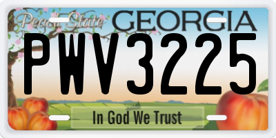 GA license plate PWV3225