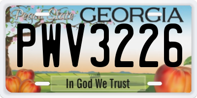 GA license plate PWV3226