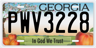 GA license plate PWV3228