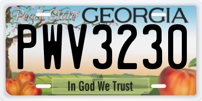 GA license plate PWV3230