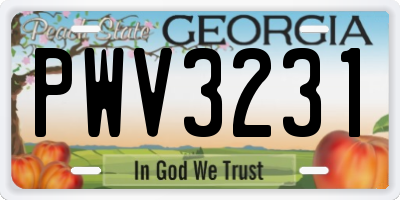 GA license plate PWV3231