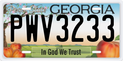 GA license plate PWV3233