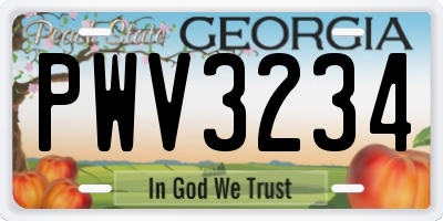 GA license plate PWV3234