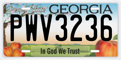 GA license plate PWV3236