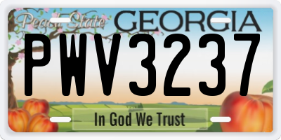 GA license plate PWV3237