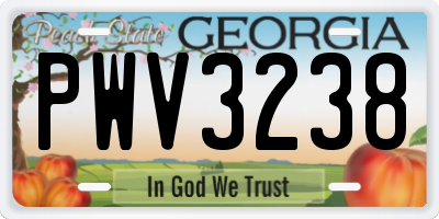 GA license plate PWV3238