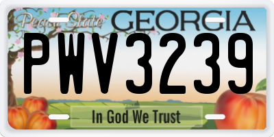 GA license plate PWV3239