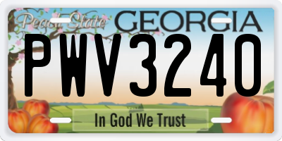 GA license plate PWV3240
