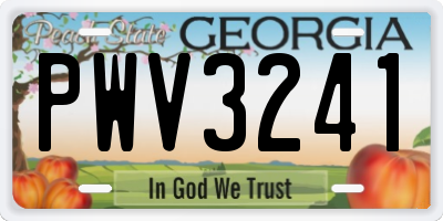 GA license plate PWV3241