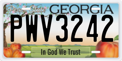 GA license plate PWV3242