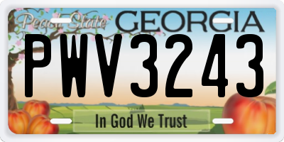 GA license plate PWV3243