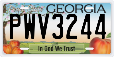 GA license plate PWV3244