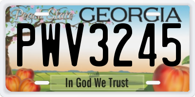 GA license plate PWV3245