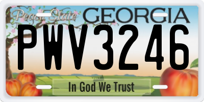 GA license plate PWV3246