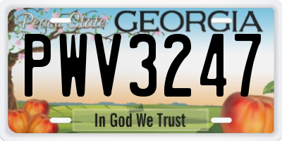 GA license plate PWV3247
