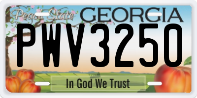 GA license plate PWV3250